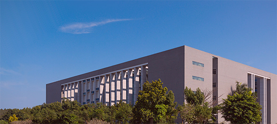 990藏宝阁资料图